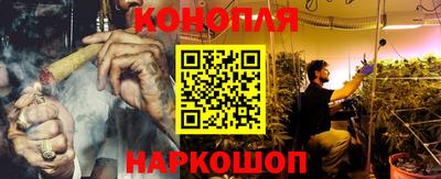 сатива Рязань